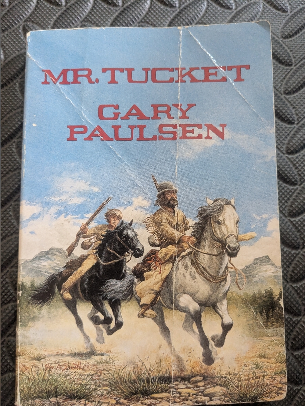 Mr Tucket, Paperback Book, Gary Paulsen